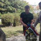 Delegacija grada Bora položila vence na spomenik poginulim srpskim i francuskim vojnicima