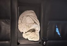 Policija u Boru pronašla laboratoriju za uzgoj marihuane, četiri osobe uhapšene