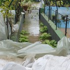 Vlada proglasila vanrednu situaciju na celoj teritoriji Srbije