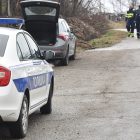 Treći dan potrage za dvogodišnjom Dankom Ilić iz Bora