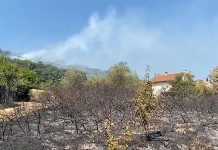 Građani Bora mogu prijaviti štetu od požara do 15. avgusta