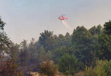 Veliki požar kod Bora – angažovan i vatrogasni helikopter