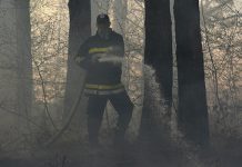 Pune ruke posla za borske vatrogasce: Gorelo na čak šest lokacija