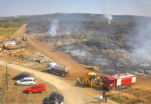 Lokalizovan požar u Kostolu, proglašena vanredna situacija u Kladovu