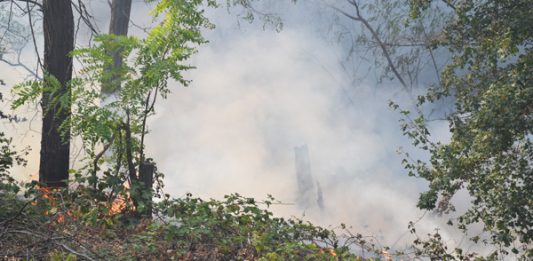 Novi požar u Starom selištu