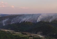 Požari u okolini Bora pod kontrolom