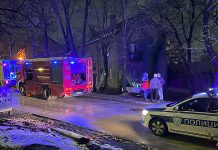 Lokalizovan požar u naselju Staro Selište u Boru