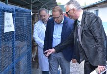 Udvostručen kapacitet prihvatilišta za napuštene životinje u Boru