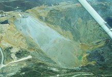 Borski kop