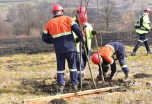 Posađeno više stotina sadnica medonosnog drveća u Slatini i rudniku Čukaru Peki