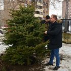 Zasađene novogodišnje jelke iz Gradske uprave u Boru