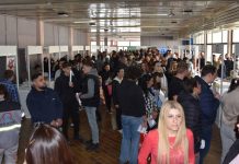Srbija Ziđin Koper među vodećim poslodavcima u zemlji, ove godine zaposleno 190 radnika