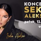 Koncert Seke Aleksić u Big Bor šoping centru