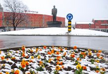 Dobre vesti: Broj aktivnih slučajeva zaraze koronavirusom u Boru spao ispod 100