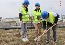 U Boru i Majdanpeku uoči Svetskog dana šuma posađeno 2.000 sadnica crnog bagrema