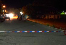 Dvostruko ubistvo u Brestovcu Ubistvo u Brestovcu