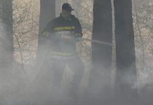 Požar između Bora i Slatine