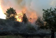 Gore otpadni materijal i nisko rastinje u naselju „Elektroistok“