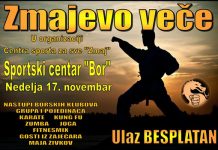 U nedelju, 17. novembra u Sportskom centru Bor veče sporta i muzike