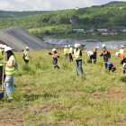 Studenti Rudarsko-geološkog fakulteta posadili u Boru 300 mladica crnog bora