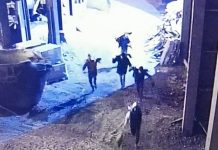 Tokom praznika evidentirano 86 pokušaja krađe iz Ziđina