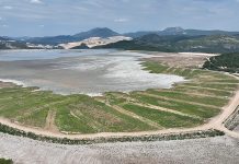 Srbija Ziđin Koper: Ozelenjeno više od 130 hektara rudarskih površina