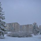 Sneg i poledica zahvatili istočnu Srbiju – na snazi naranžasti meteo-alarm