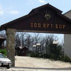Zoo vrt u humanitarnoj akciji za Savu Đokića