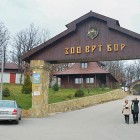 Osmomartovska akcija u borskom Zoološkom vrtu