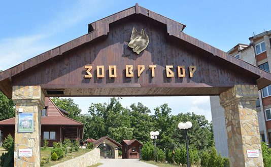 Fotografija jelena iz borskog Zoo vrta uznemirila javnost, nadležni kažu da je sve u redu