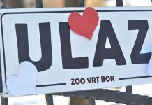Za Dan žena: Damama besplatan ulaz u borski Zoo vrt